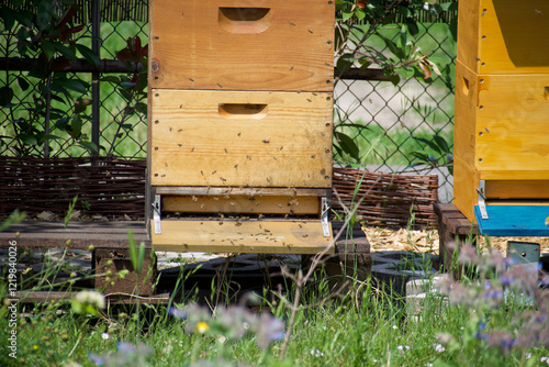 Three colorful wooden beehives with metal roofs and painted designs stand in a lush garden. Each hive has an entrance board, surrounded by tall grass and plants.