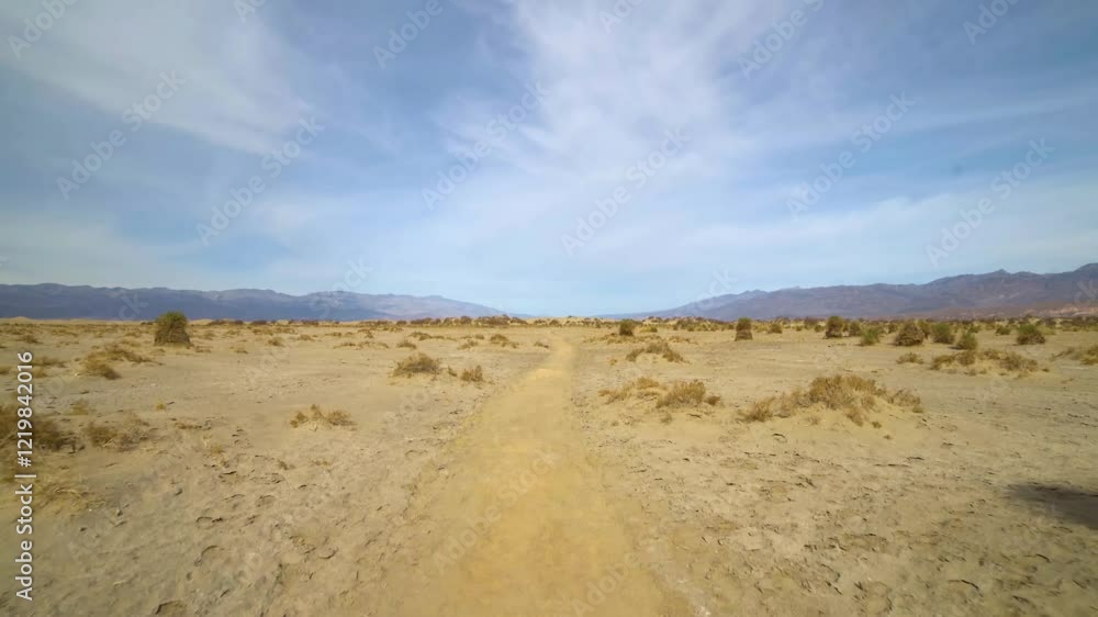 Discover the resilience of arrowweed plants growing at The Devil's Cornfield in Death Valley, California, showcasing the unique flora of the desert. Discover the resilience of arrowweed plants growing at The Devil's Cornfield in Death Valley, California, showcasing the unique flora of the desert.