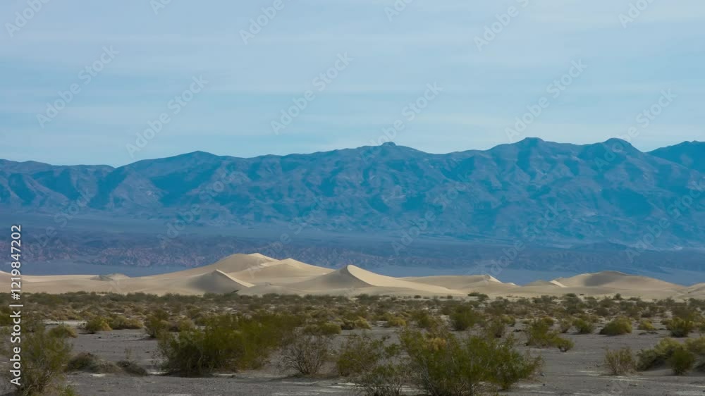 Witness the dried desert grass thriving in the Mesquite Flat Sand Dunes of Death Valley National Park, California, capturing the essence of this unique ecosystem. Witness the dried desert grass thriving in the Mesquite Flat Sand Dunes of Death Valley National Park, California, capturing the essence of this unique ecosystem.