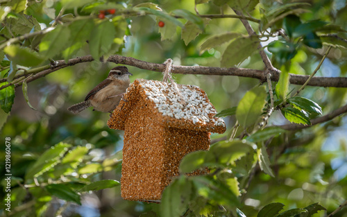 Bird sitting on top of bird house feeder