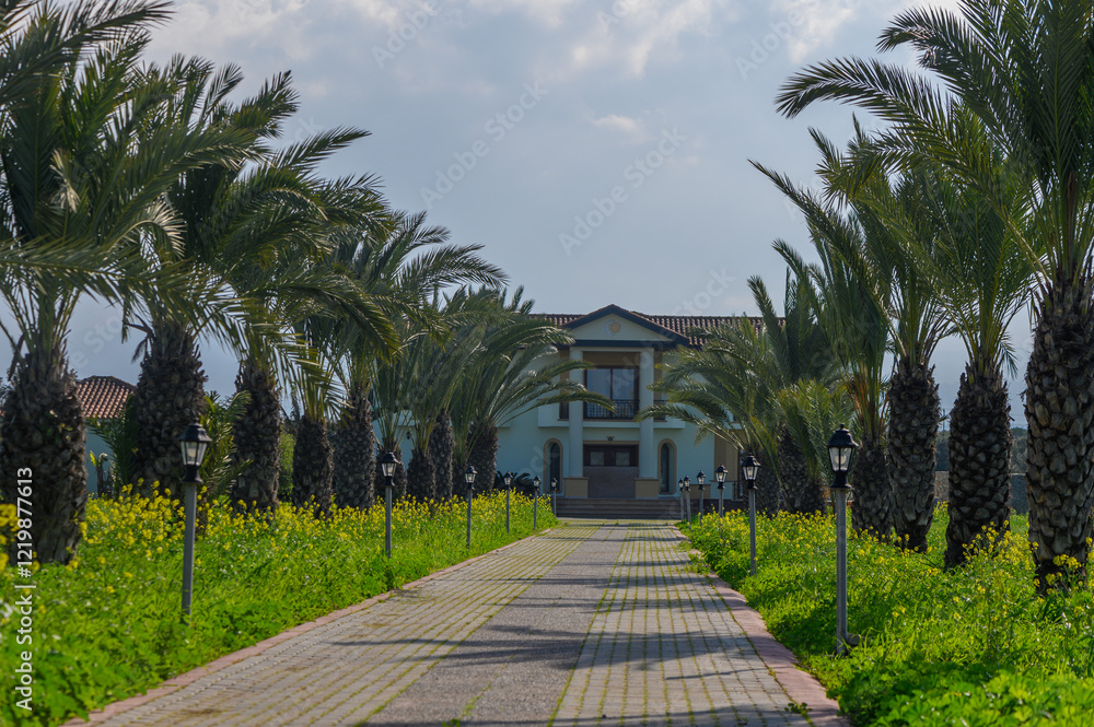 Fototapeta premium Majestic pathway lined with palm trees leading to a serene villa amidst vibrant greenery