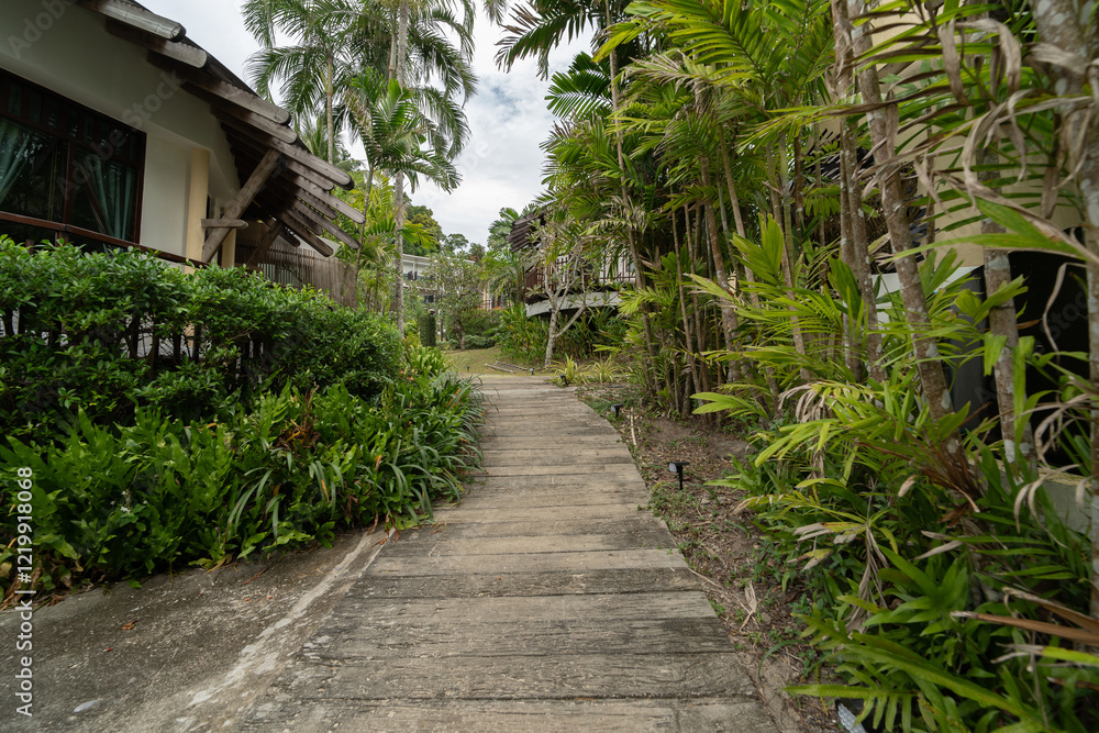 Fototapeta premium garden path