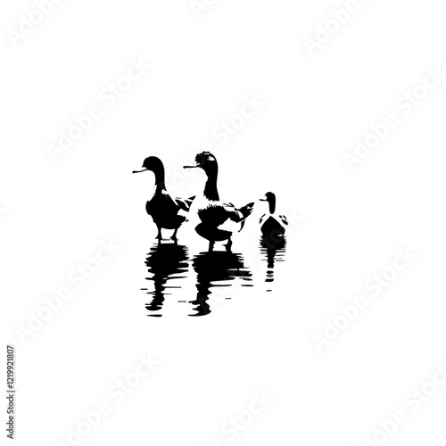 Ducks Vector Logo Design