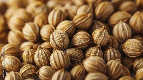 Close-up of coriander seeds, piled high, on a surface photo