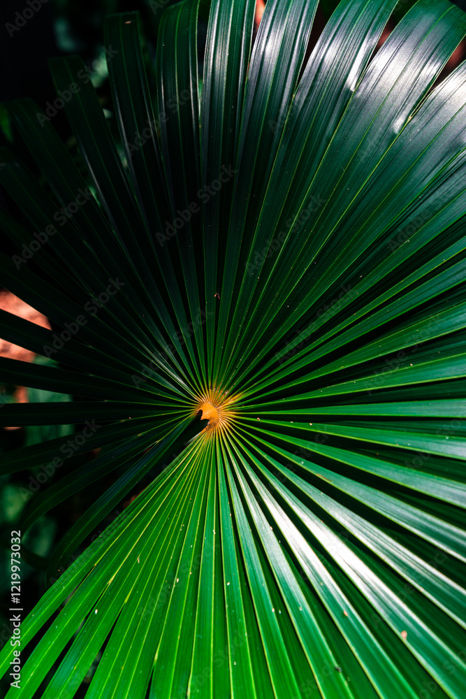 Obraz premium abstract green background