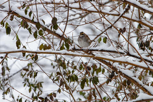 bird on a branch