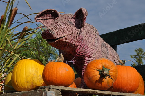 Cute wicker pig and pumpkins on display.