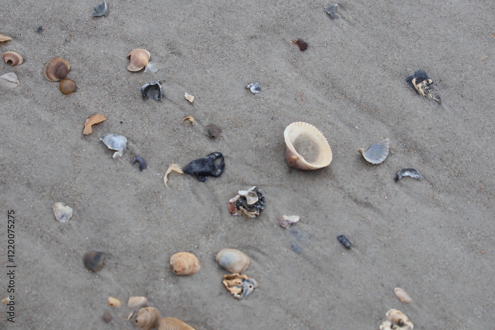 Ocean front with a sandbar and a fishing pier at Jacksonville Beach, Florida. 
