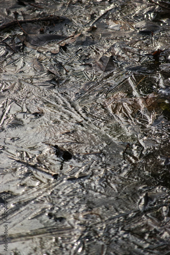 Frozen pond