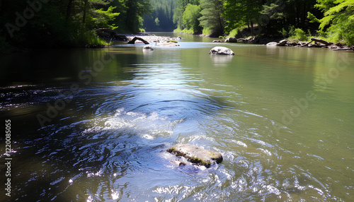 Alligator and crocodile in natural water settings with trees, grass, and reflections under a blue sky