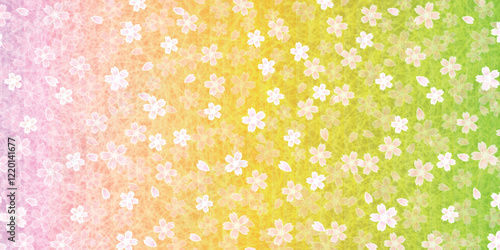 和柄　桜　春　背景