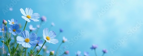delicate blue forget me nots scattered on a serene blue sky background, wildflowers, nature