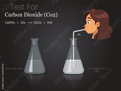 Illustration of Carbon Dioxide and Lime Water Experiment with Two Flasks and Exhalation