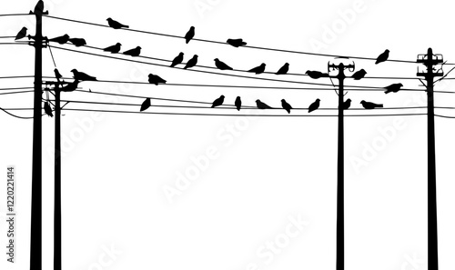 birds on power wires silhouette