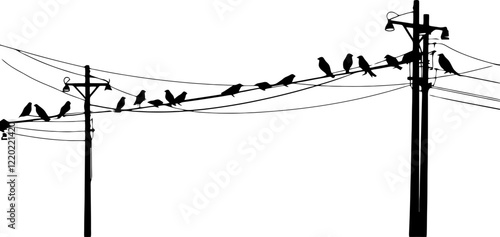 birds on power wires silhouette