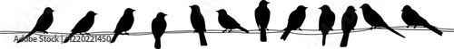 birds on power wires silhouette