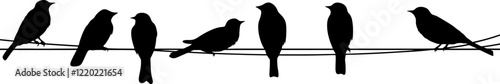 birds on power wires silhouette