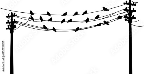 birds on power wires silhouette
