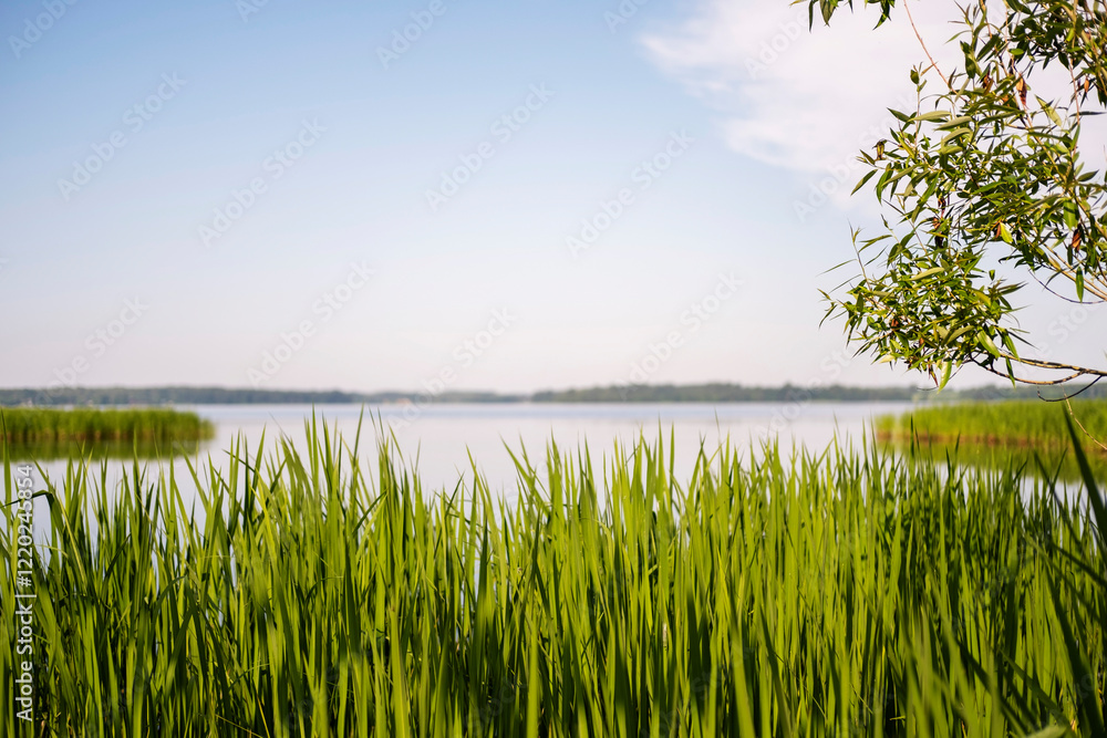 Fototapeta premium Images of a landscape with a river, blue sky.