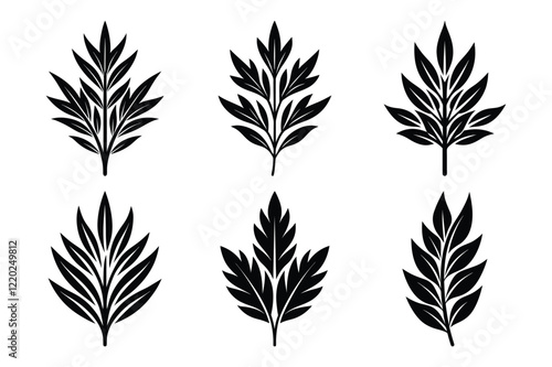 Tarragon Herb and Spice Icon silhouette set. Detailed Leaf Silhouette Vector for Design Purposes