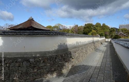 妙心寺　大通院と参道　京都市右京区花園 photo