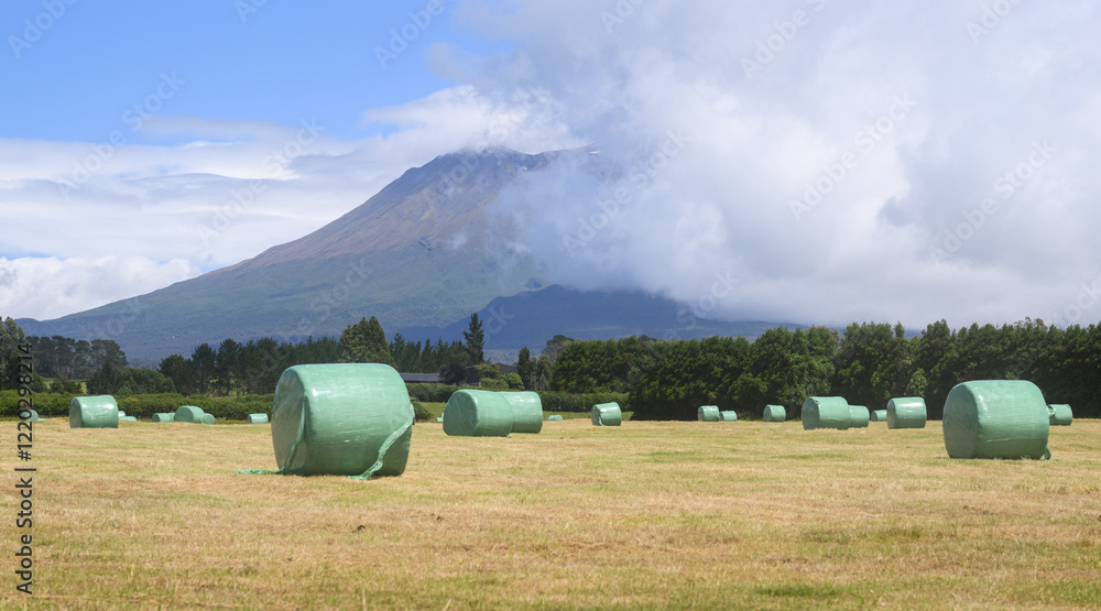Wrapped hay bales in the field with Mt Taranaki in the clouds. Taranaki. New Zealand.