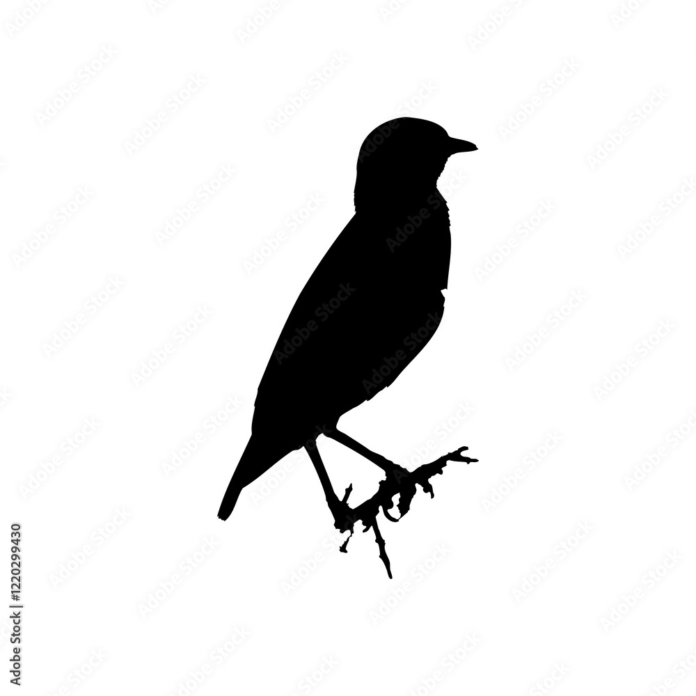 Obraz premium Sparrow silhouette vector illustration isolated on white. Symbol of a small city bird.