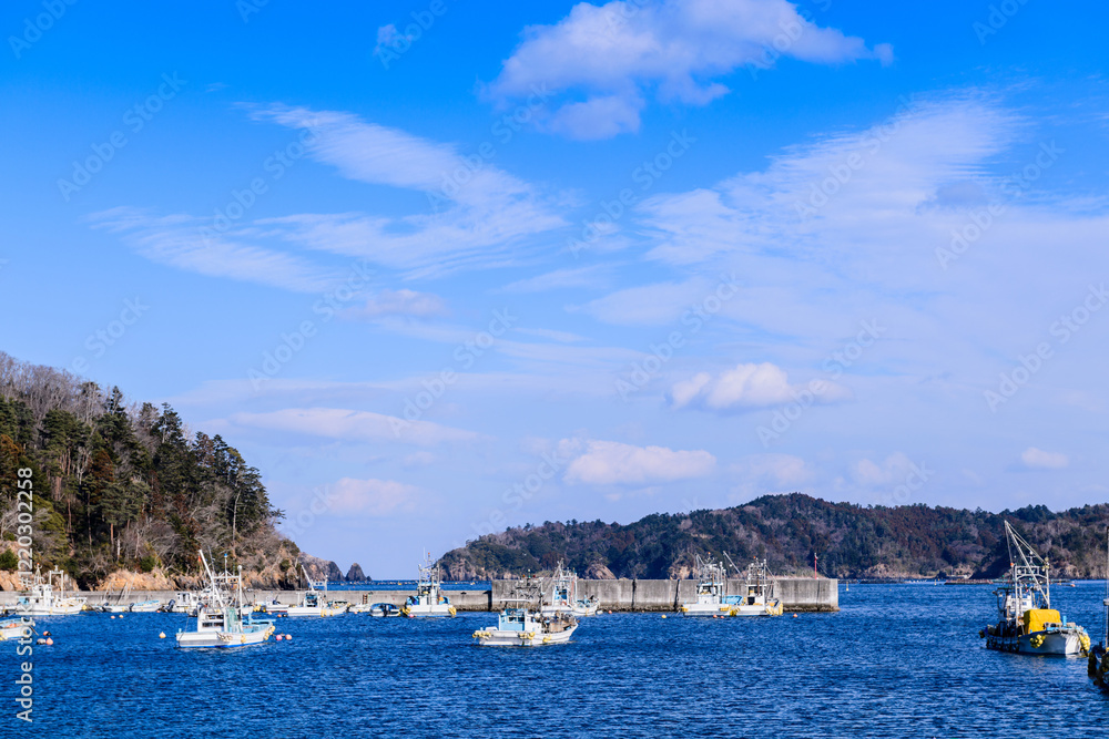 Obraz premium 宮城県女川の小さな漁港 