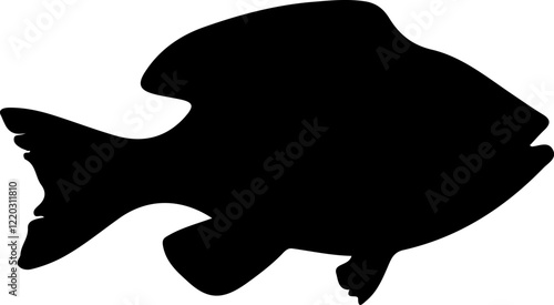 Silhouette of a fish in an aquarium