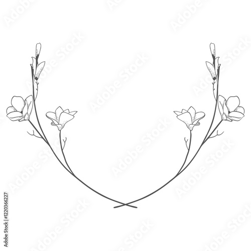 elements hand drawn floral frames feminine wedding