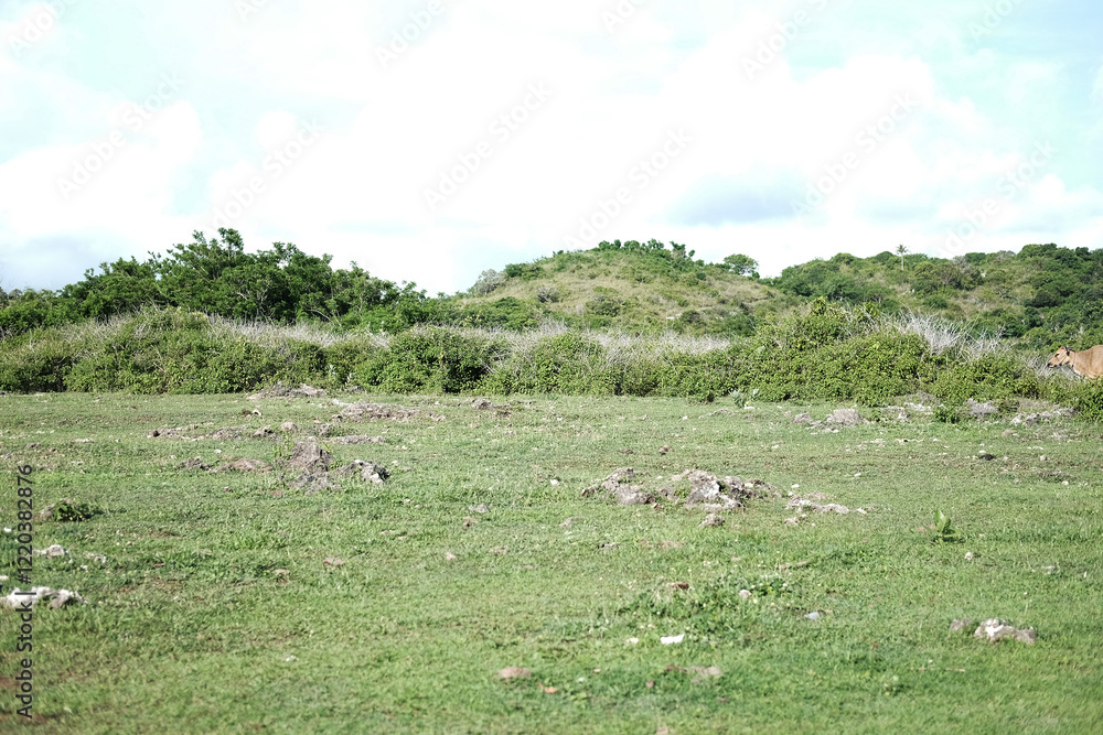 Obraz premium Tropical green grass land on the mountain