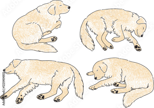 眠っているゴールデンレトリバーの手書きイラストセット
