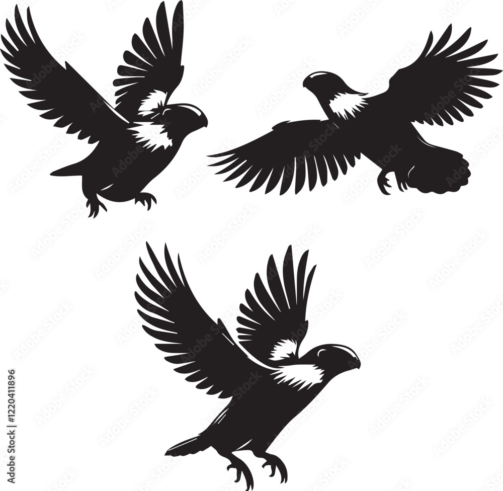 Obraz premium set of guinea fowl flying poses,flying guinea fowl, guinea fowl vector, bird silhouette, guinea fowl poses, flying bird, black and white bird