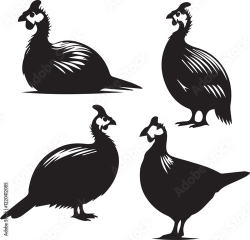 set of guinea fowl sitting poses, guinea fowl poses, resting bird, black and white bird, guinea fowl illustration, guinea fowl clipart