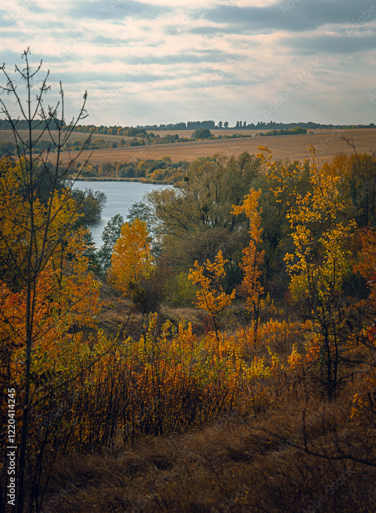 Fototapeta premium Autumn landscape on river