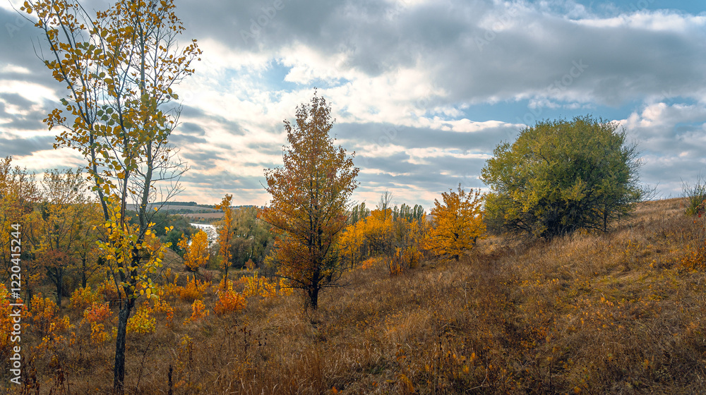 Fototapeta premium Autumn landscape on river