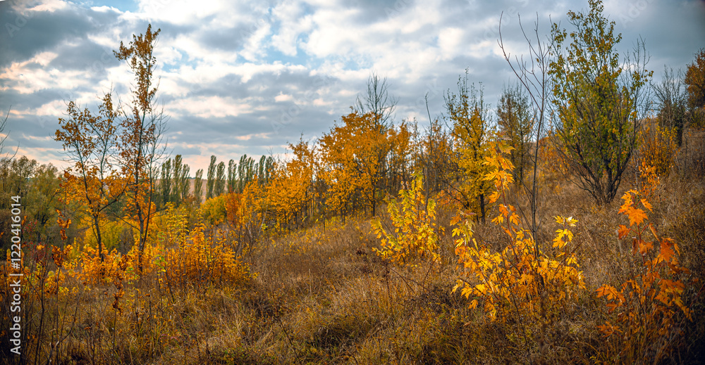 Fototapeta premium Autumn landscape on river
