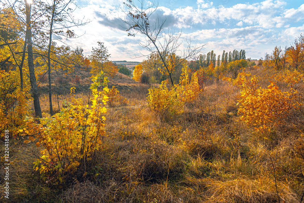 Fototapeta premium Autumn landscape on river