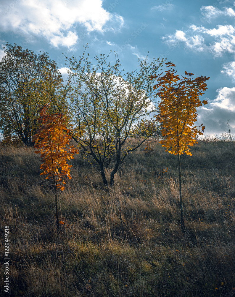 Fototapeta premium Autumn landscape on river