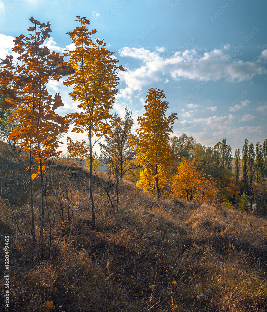 Fototapeta premium Autumn landscape on river