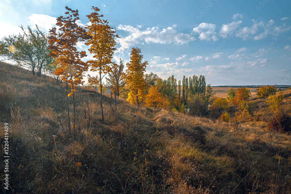 Fototapeta premium Autumn landscape on river