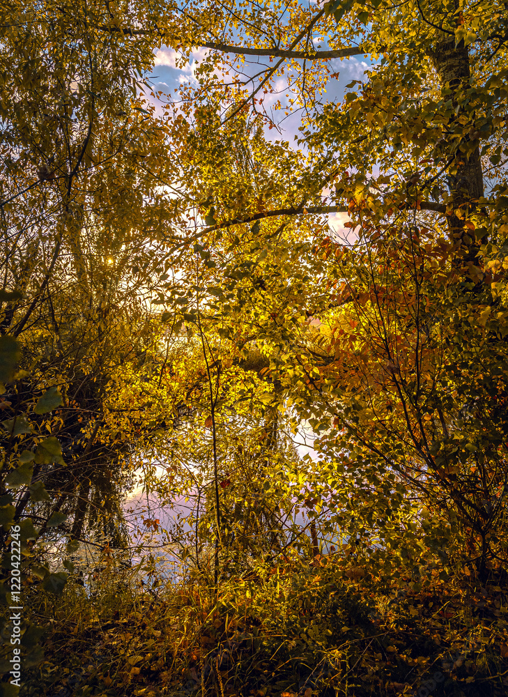 Fototapeta premium Autumn landscape on river