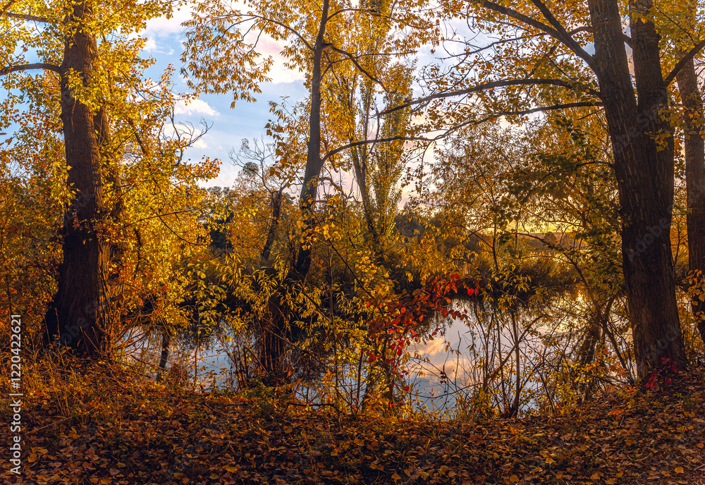Obraz premium Autumn landscape on river