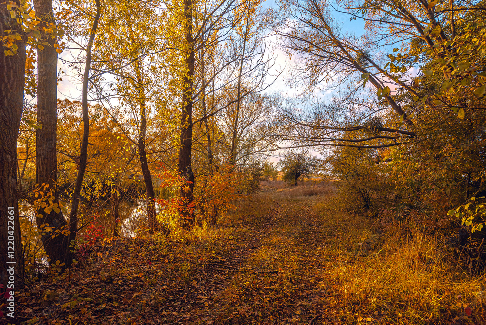 Fototapeta premium Autumn landscape on river