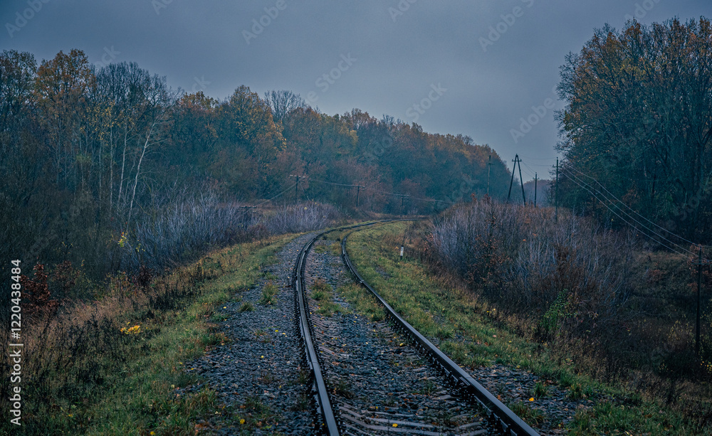 Fototapeta premium Autumn woods