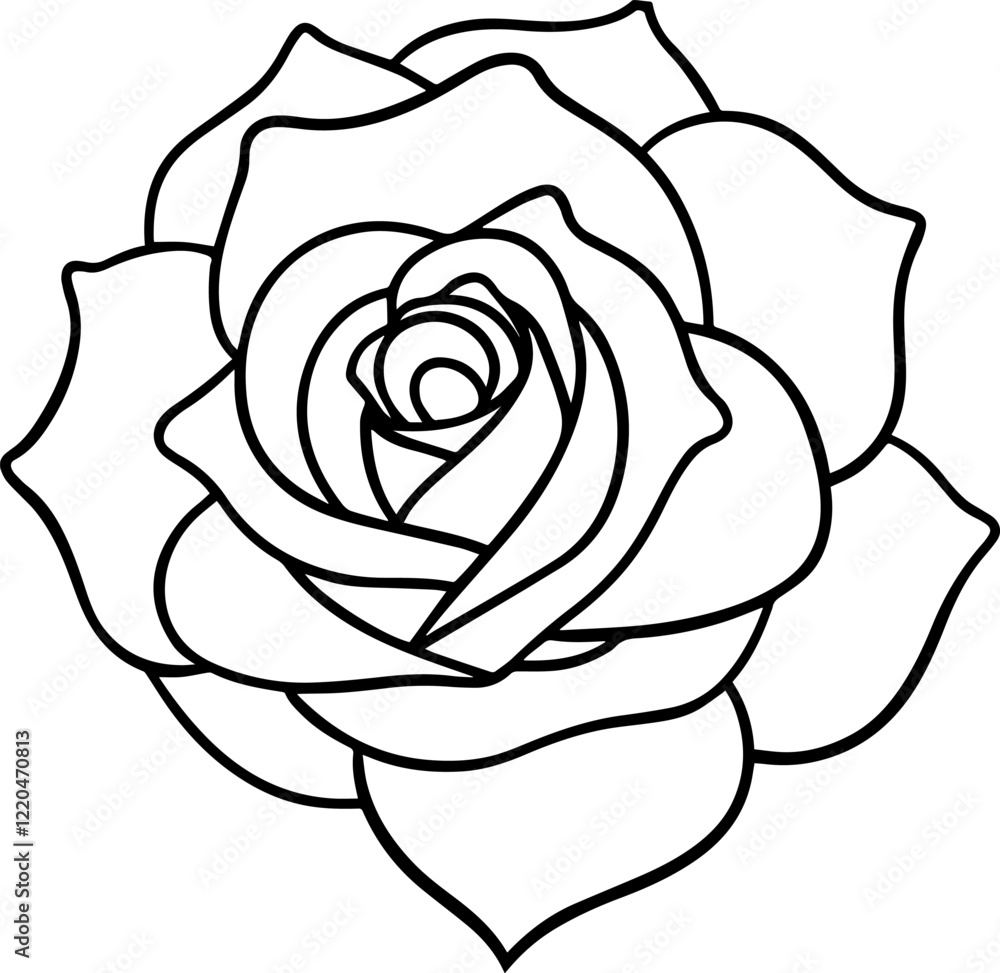 Rose flower outline vector illustration Rose flower outline vector illustration