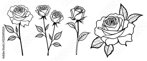 Set of rose with leaves.Minimalist contour drawing. Flower tatoo. Vector illustration	