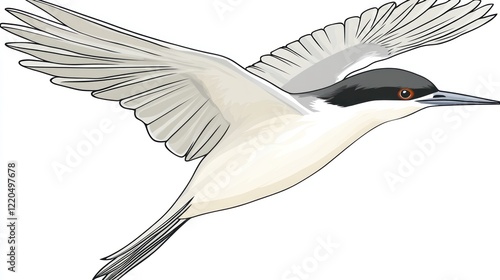 Elegant White-faced Storm-Petrel in Flight: A Detailed Illustration photo