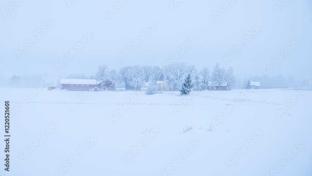 Farm barn and house in a cold winter landscape with snow and frost