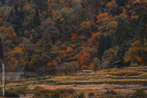 Shirakawa-go in autumn - Gifu, Japan
